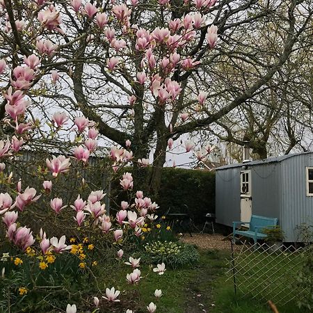 The Wayside Shepherd Hut 볼리외 외부 사진