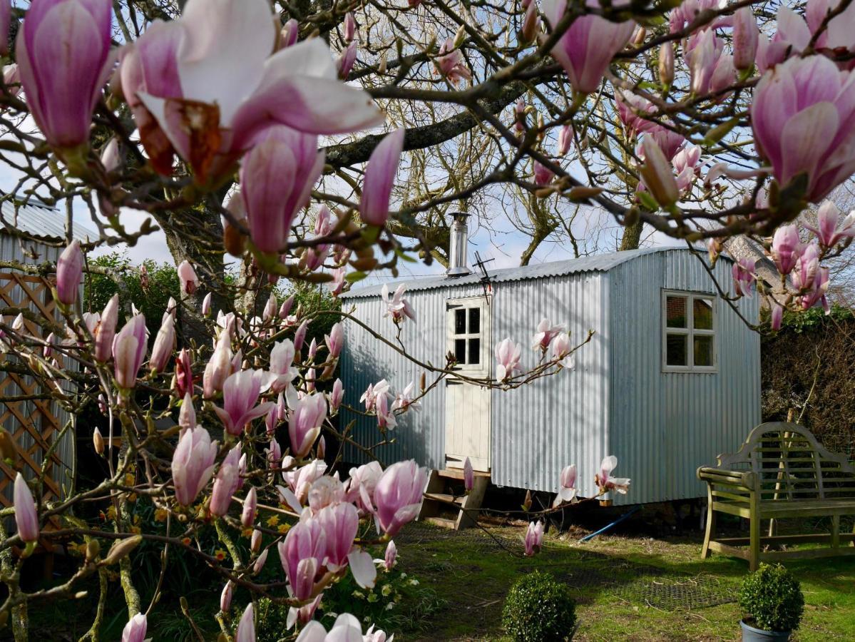 The Wayside Shepherd Hut 볼리외 외부 사진