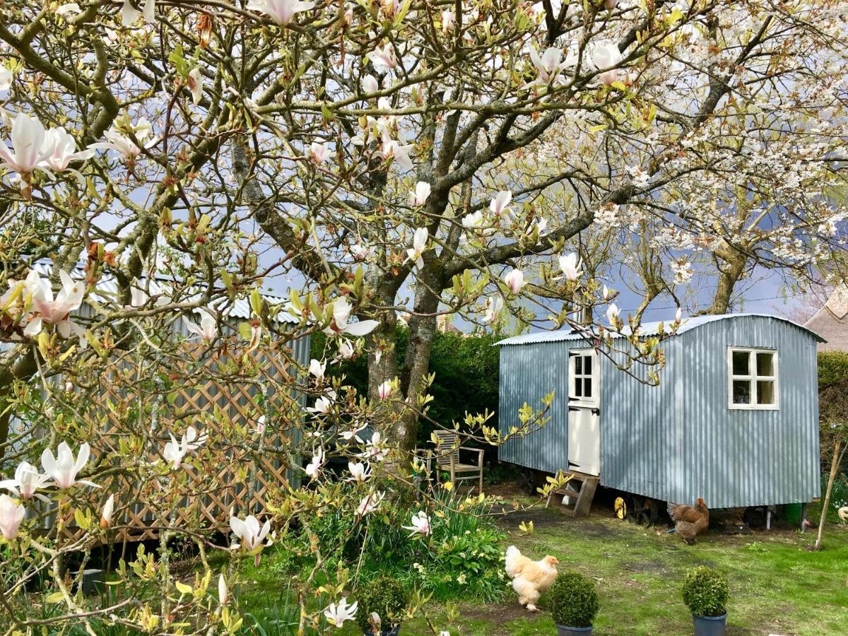 The Wayside Shepherd Hut 볼리외 외부 사진