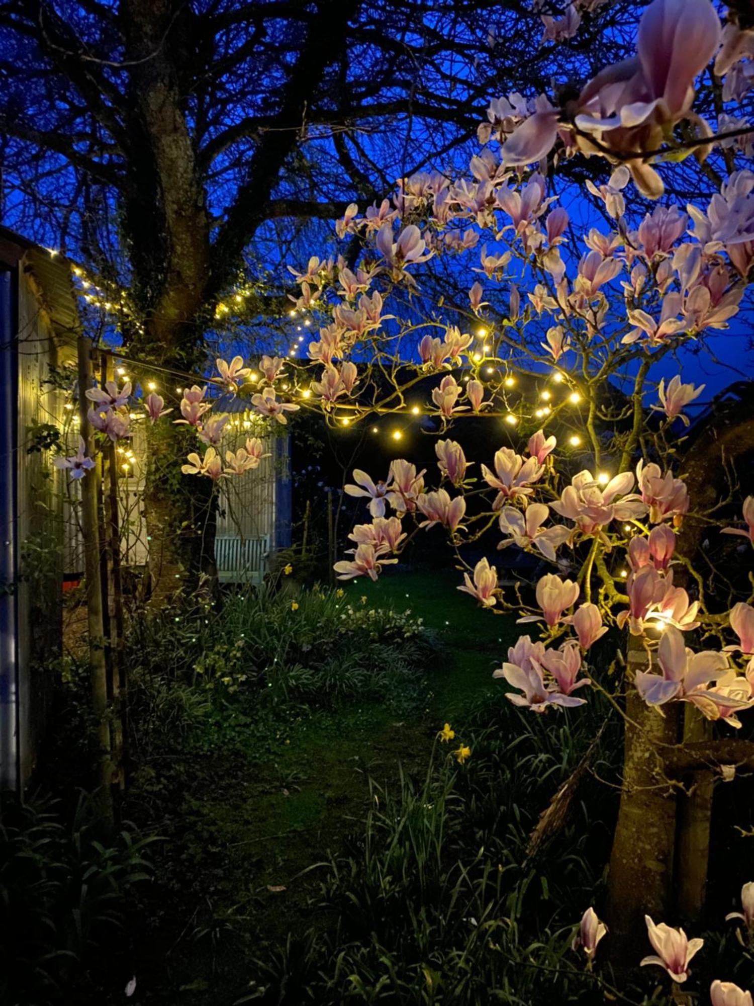 The Wayside Shepherd Hut 볼리외 외부 사진