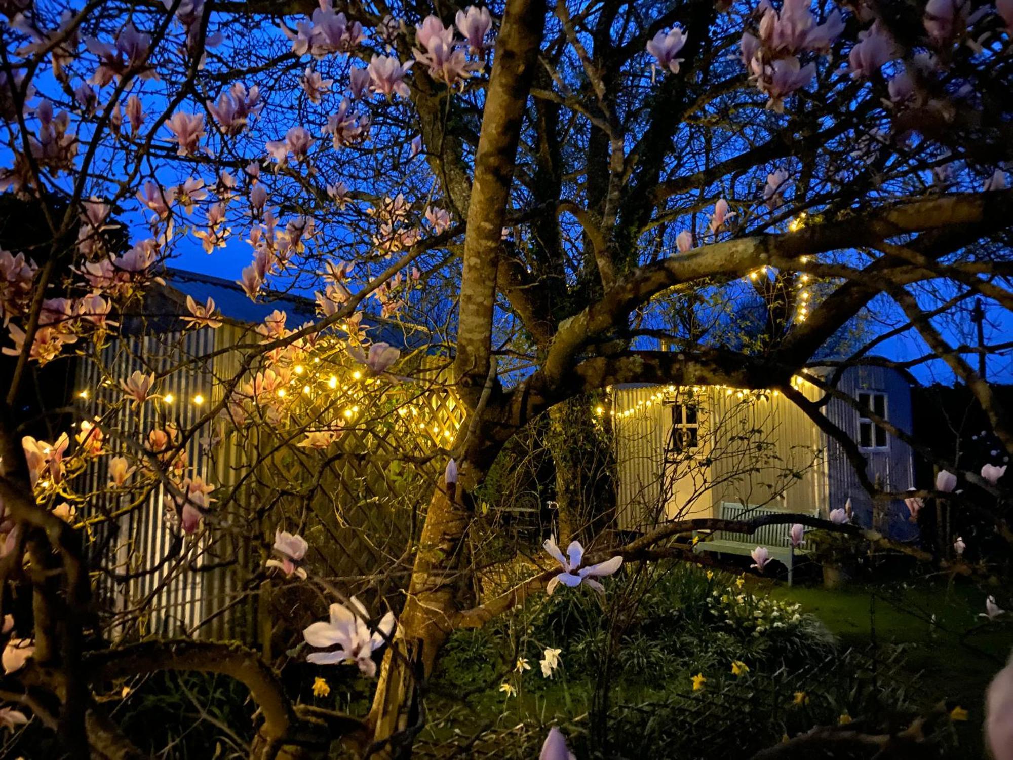 The Wayside Shepherd Hut 볼리외 외부 사진